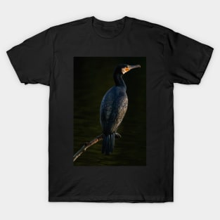 Cormorant T-Shirt